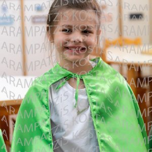24_06_03_NHPIA-00008