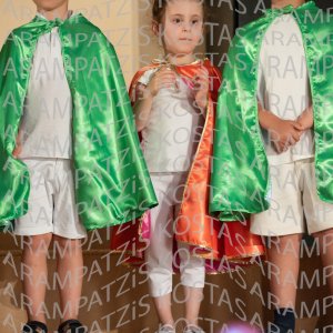 24_06_03_NHPIA-00342