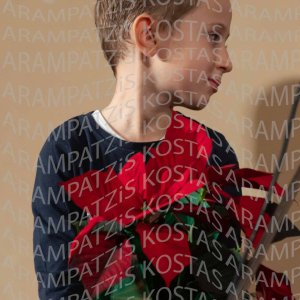 2025_12_16-Christmas-DHM00339
