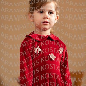2025_12_17-Christmas-NHPIA00104